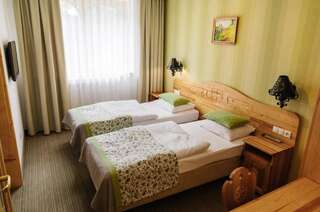 Отель Hotel Bajka Grodziec Классический двухместный номер с 1 кроватью-1